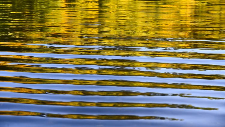 Rivière Dordogne Brume Lever Soleil Couleur Automne Cingle de Montfort Château Reflets