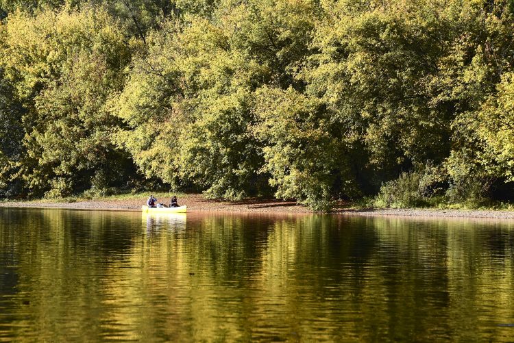 Rivière Dordogne Brume Lever Soleil Couleur Automne Cingle de Montfort Château Reflets