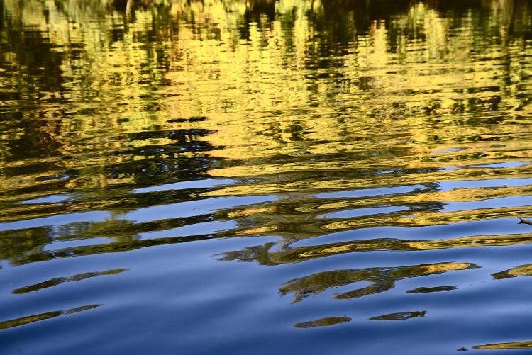 Rivière Dordogne Brume Lever Soleil Couleur Automne Cingle de Montfort Château Reflets