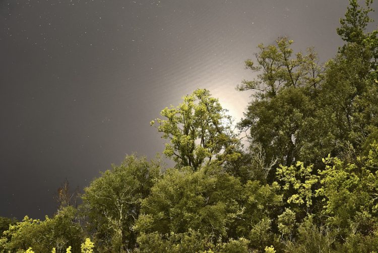 Cingle Trémolat Dordogne Périgord Falaises