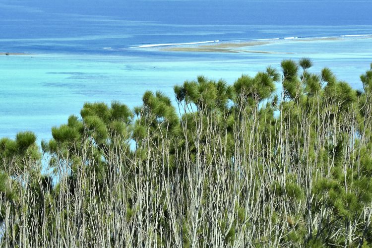 Nouvelle Calédonie Poé Bourail Baie des Tortues Lagon