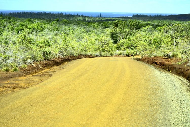 Nouvelle Calédonie Sud Latérite Nickel