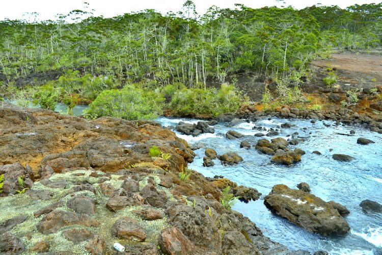 Nouvelle Calédonie Sud Latérite Nickel