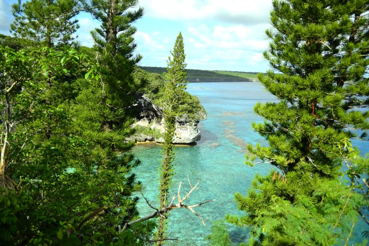 Nouvelle Calédonie Lifou Luengoni Jiek Santal