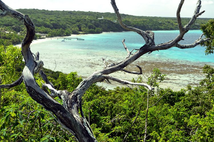 Nouvelle Calédonie Lifou Luengoni Jinek Santal