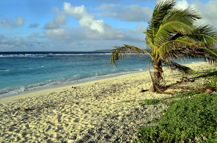 Nouvelle Calédonie Lifou Luengoni Jinek Santal