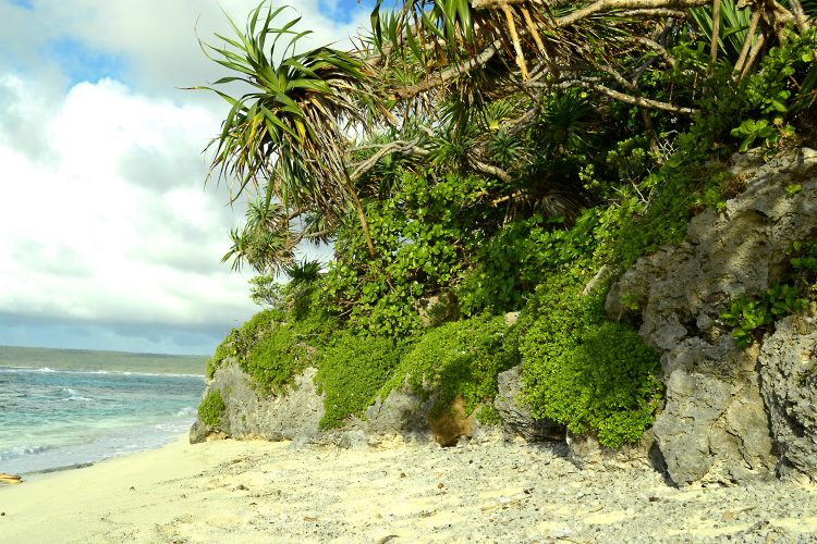 Nouvelle Calédonie Lifou Luengoni Jinek Santal