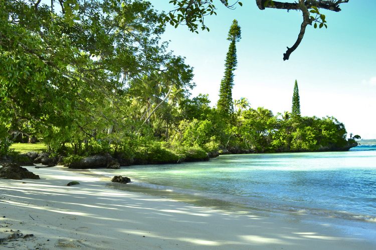 Nouvelle Calédonie Lifou Luengoni Jinek Santal