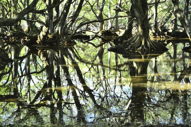 Nouvelle Calédonie Poé Bourail Baie des Tortues Lagon