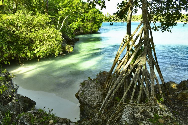 Nouvelle Calédonie Lifou Luengoni Jinek Santal