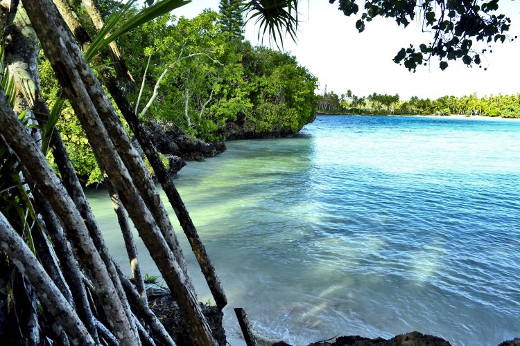 Nouvelle Calédonie Lifou Luengoni Jinek Santal
