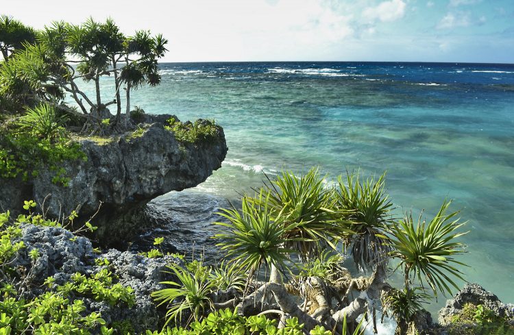 Nouvelle Calédonie Lifou Luengoni Jinek Santal