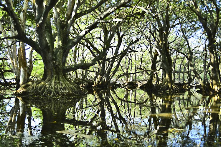 Nouvelle Calédonie Poé Bourail Baie des Tortues Lagon
