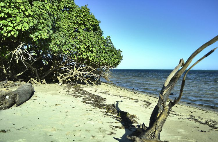 Nouvelle Calédonie Poé Bourail Baie des Tortues Lagon