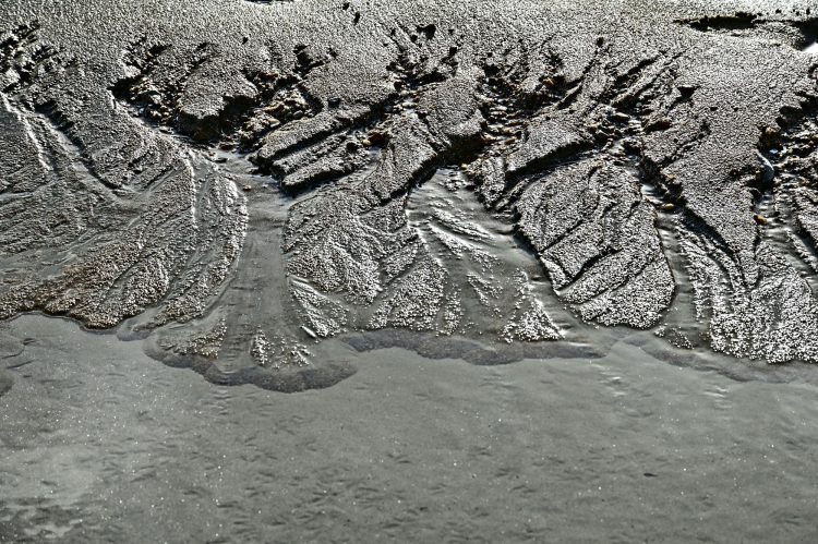 Île d'Oléron Mer Maumusson Gatseau Bois flotté Reflets Sable