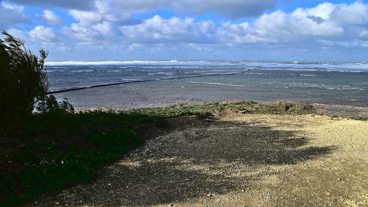 Île d'Oléron Mer Maumusson Gatseau Bois flotté Reflets Sable