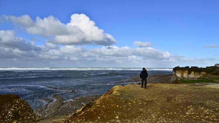 Île d'Oléron Mer Maumusson Gatseau Bois flotté Reflets Sable