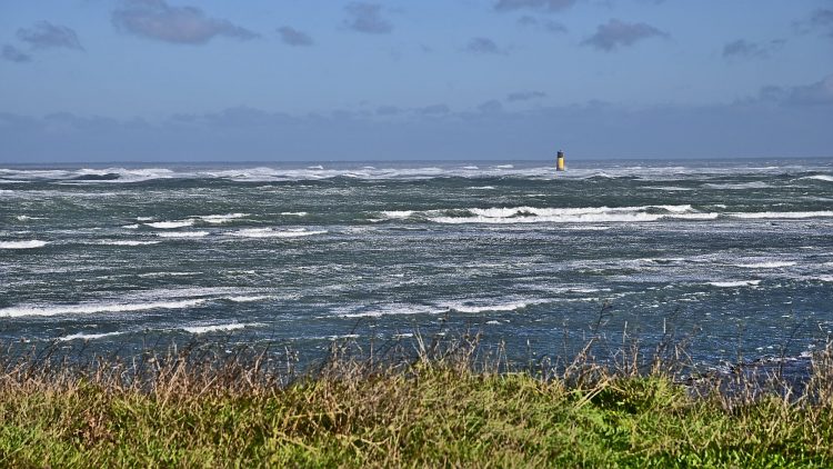 Île d'Oléron Mer Maumusson Gatseau Bois flotté Reflets Sable