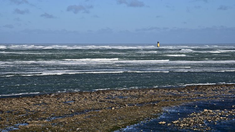 Île d'Oléron Mer Maumusson Gatseau Bois flotté Reflets Sable