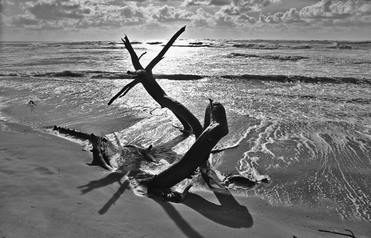 Île d'Oléron Mer Maumusson Gatseau Bois flotté Reflets Sable
