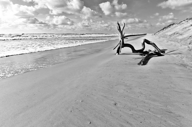 Île d'Oléron Mer Maumusson Gatseau Bois flotté Reflets Sable