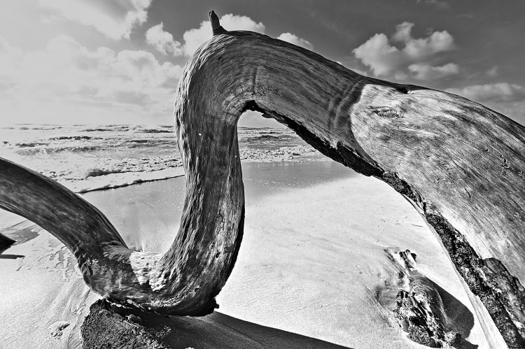Île d'Oléron Mer Maumusson Gatseau Bois flotté Reflets Sable