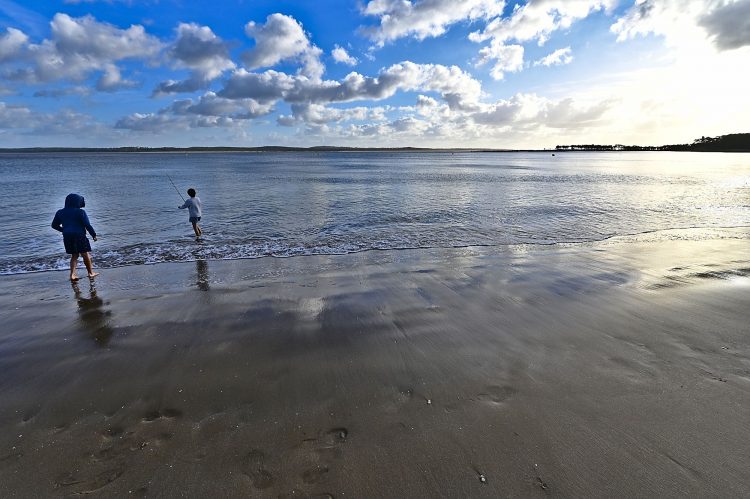 Île d'Oléron Mer Maumusson Gatseau Bois flotté Reflets Sable