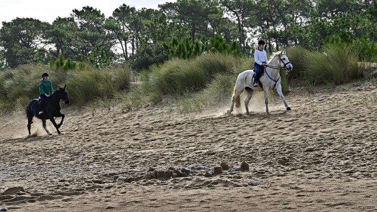 Equitation Plage Foulerot Île d'Oléron Galop Trot Balade Cheval