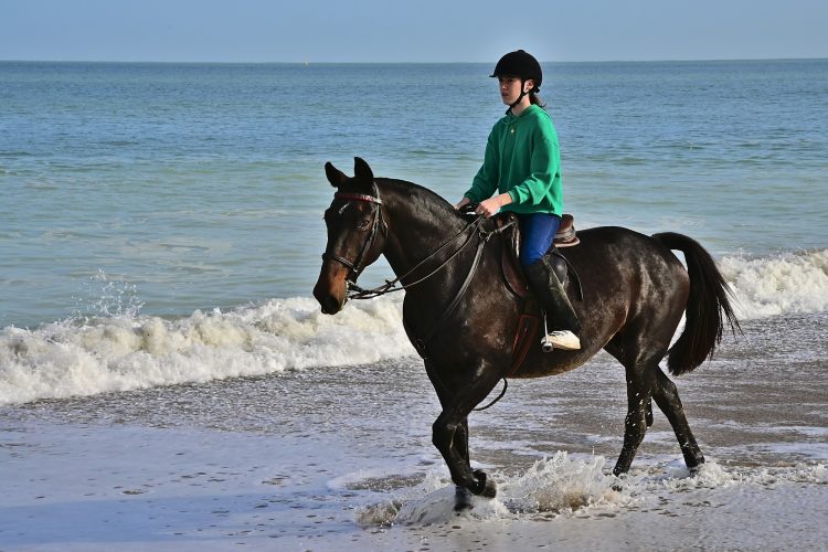 Equitation Plage Foulerot Île d'Oléron Galop Trot Balade Cheval