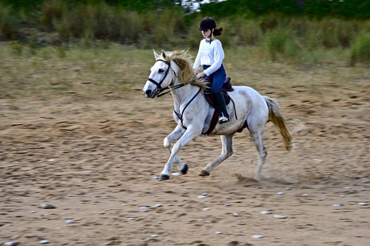 Equitation Plage Foulerot Île d'Oléron Galop Trot Balade Cheval