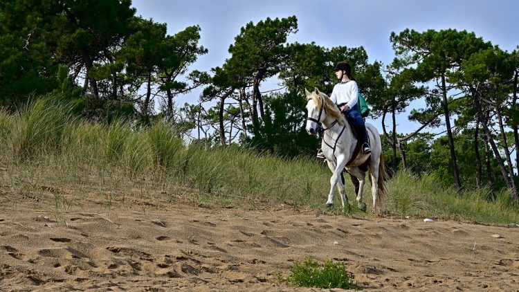 Equitation Plage Foulerot Île d'Oléron Galop Trot Balade Cheval