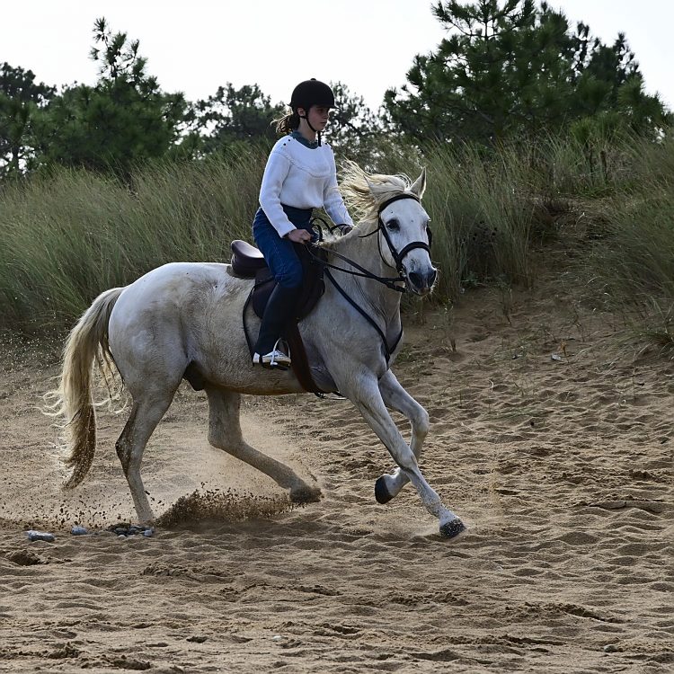 Equitation Plage Foulerot Île d'Oléron Galop Trot Balade Cheval