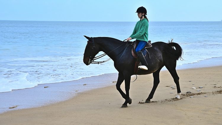 Equitation Plage Foulerot Île d'Oléron Galop Trot Balade Cheval
