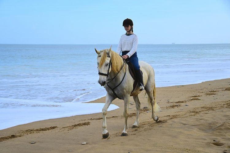 Equitation Plage Foulerot Île d'Oléron Galop Trot Balade Cheval
