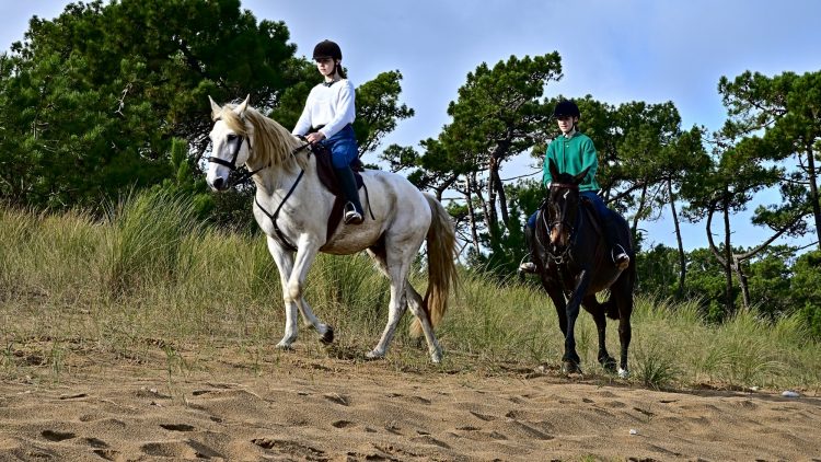 Equitation Plage Foulerot Île d'Oléron Galop Trot Balade Cheval
