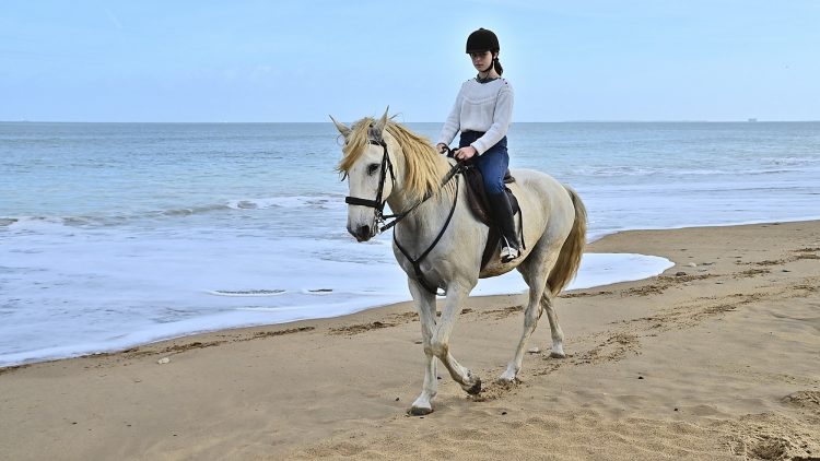 Equitation Plage Foulerot Île d'Oléron Galop Trot Balade Cheval