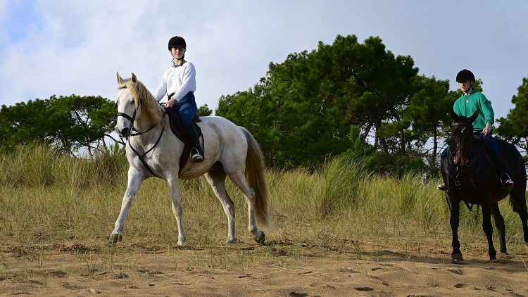 Equitation Plage Foulerot Île d'Oléron Galop Trot Balade Cheval