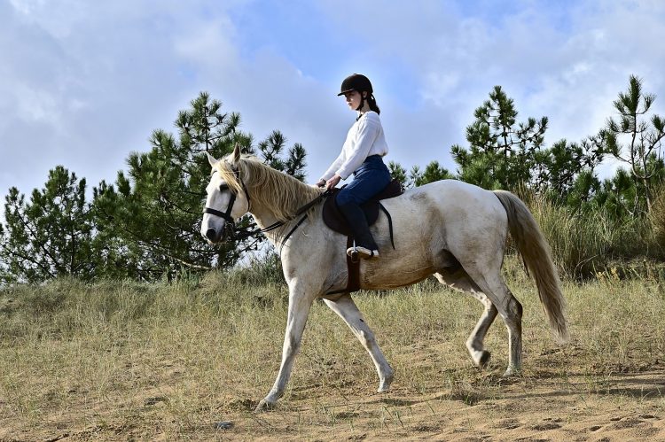 Equitation Plage Foulerot Île d'Oléron Galop Trot Balade Cheval