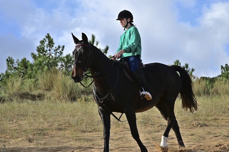 Equitation Plage Foulerot Île d'Oléron Galop Trot Balade Cheval