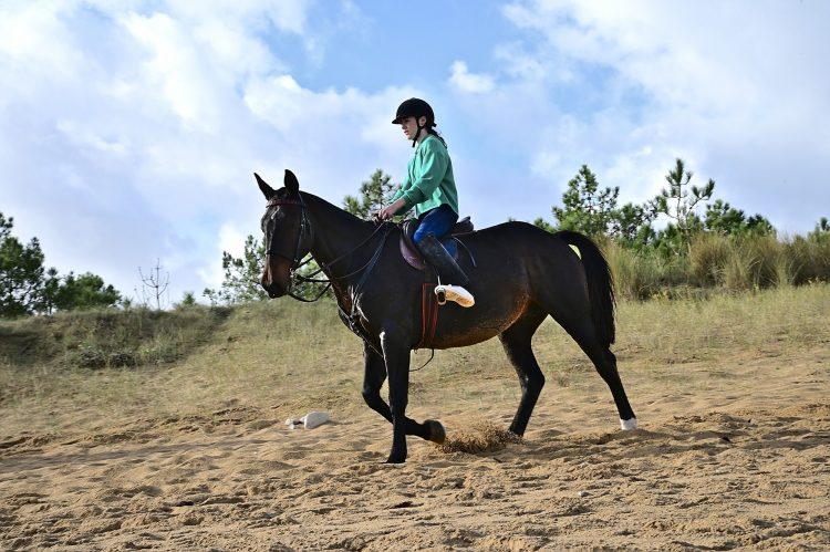 Equitation Plage Foulerot Île d'Oléron Galop Trot Balade Cheval