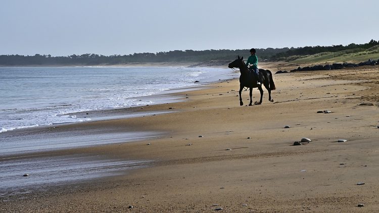 Équitation sur la plage