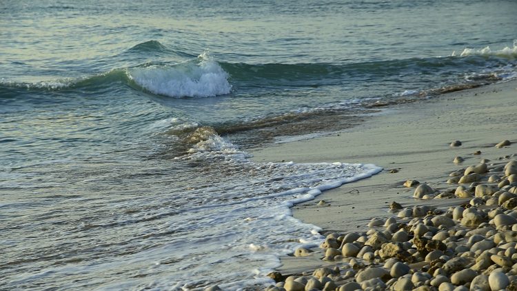 Île d'Oléron Pose longue Ecume Vagues Brumeux Sable Galets Décembre