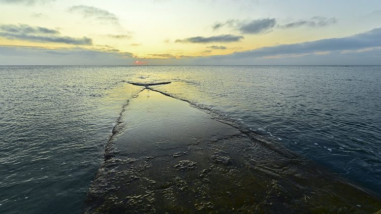 Île d'Oléron Pose longue Ecume Vagues Brumeux Sable Galets Décembre