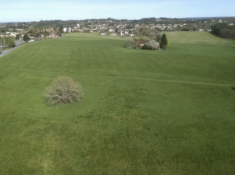 Arbre Saisons Journée Météo Nuit d'été Hiver Printemps Neige Givre