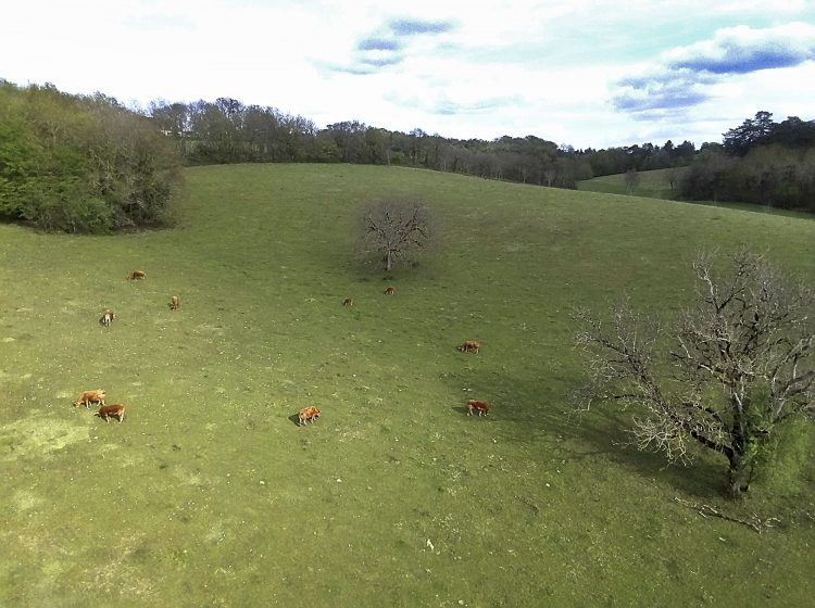Arbre Saisons Journée Météo Nuit d'été Hiver Printemps Neige Givre