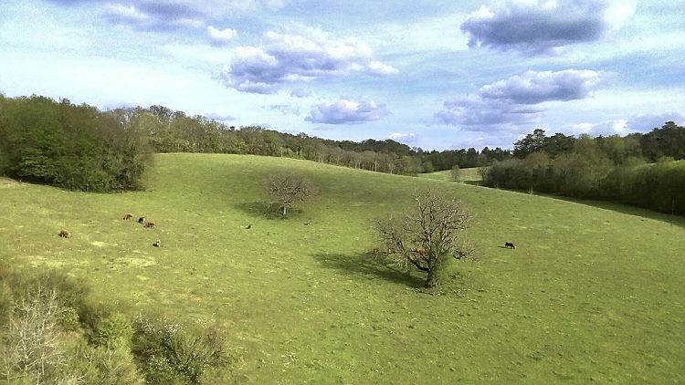 Arbre Saisons Journée Météo Nuit d'été Hiver Printemps Neige Givre