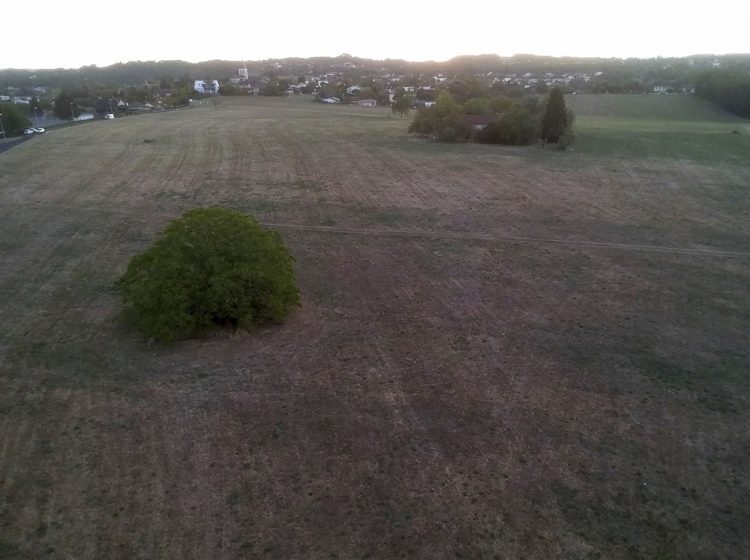 Arbre Saisons Journée Météo Nuit d'été Hiver Printemps Neige Givre
