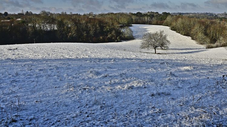 Arbre Saisons Journée Météo Nuit d'été Hiver Printemps Neige Givre