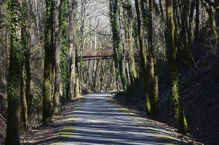 Voie Verte, VTT, Périgord vert, Saint Pardoux-la-Rivière, Thiviers, Ponts, Viaducs, Ruisseaux, la Côle, la Dronne, ouvrages d'art, voie ferrée désaffectée, promeneurs, étangs