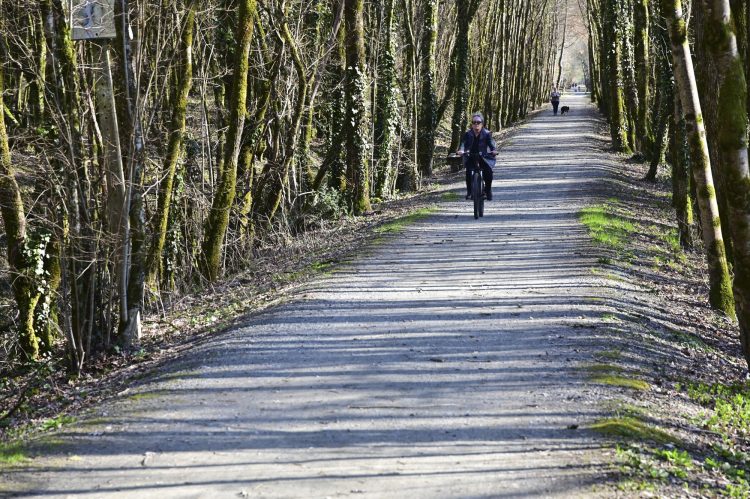 Voie Verte, VTT, Périgord vert, Saint Pardoux-la-Rivière, Thiviers, Ponts, Viaducs, Ruisseaux, la Côle, la Dronne, ouvrages d'art, voie ferrée désaffectée, promeneurs, étangs